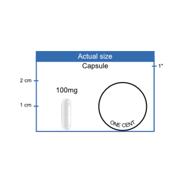 100mg Amygdalin Capsule size