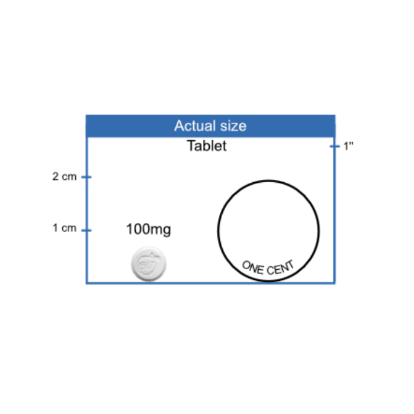 100mg Amygdalin Tablet size
