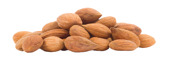 apricot kernels