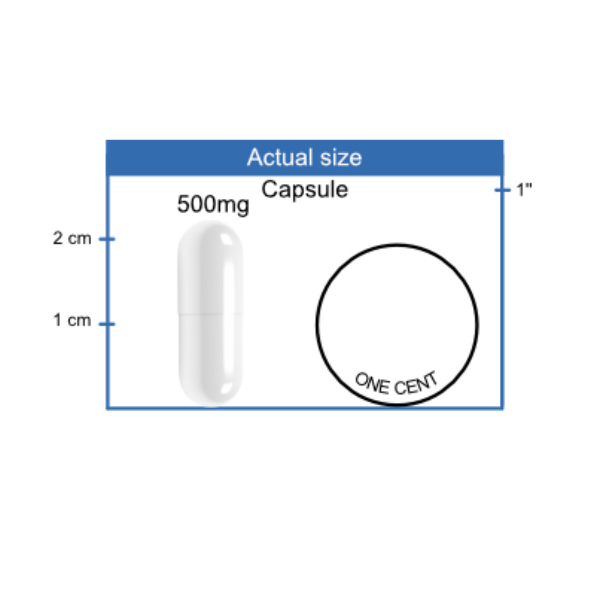 Amygdalin Capsule size