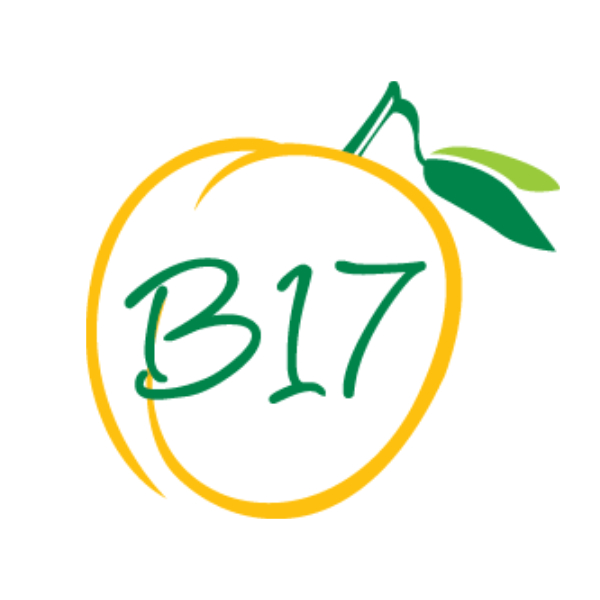 B17 Logo